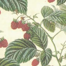 Petite Raspberries Print Italian Paper ~ Leonardo Communication